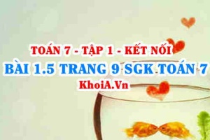 Bài 1.5 trang 9 SGK Toán 7 tập 1 Kết nối tri thức